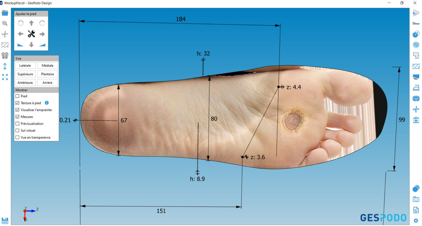 Pack - Formation FootCAD3D